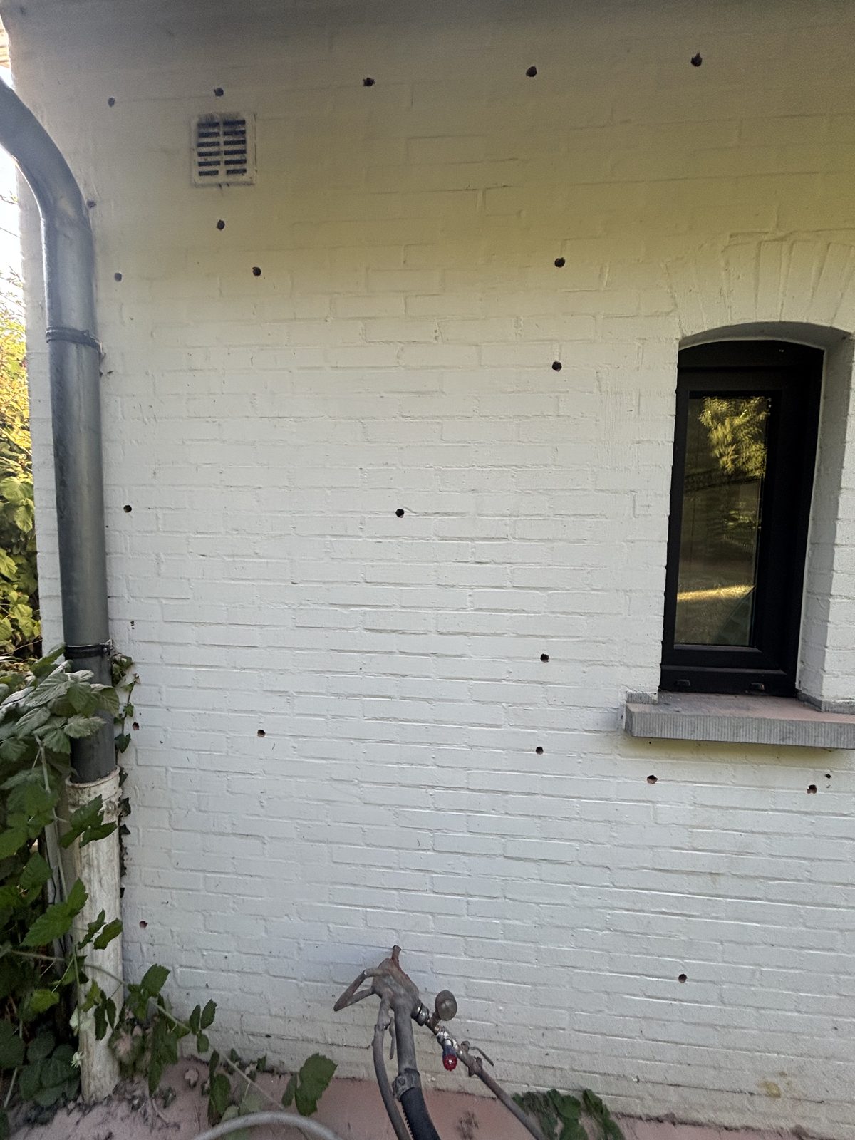 Boorpatroon van Eco Protect op een witgeschilderde gevel: vulopeningen in verspringende rijen, dichter bij het raam en de gevelrand, met het inblaaspistool onderaan